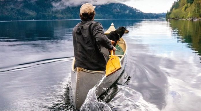 All the Little Ways Having a Pet Benefits Your Health