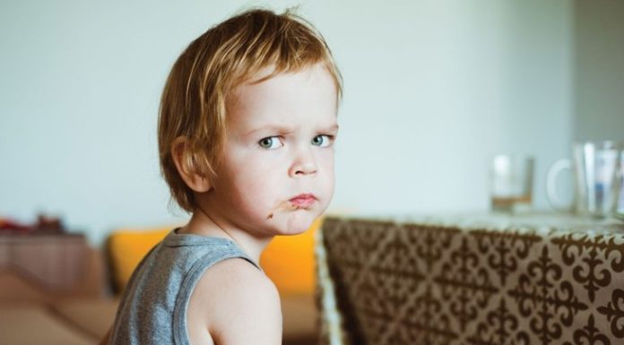 Do Picky Eaters Rule Your Mealtime?