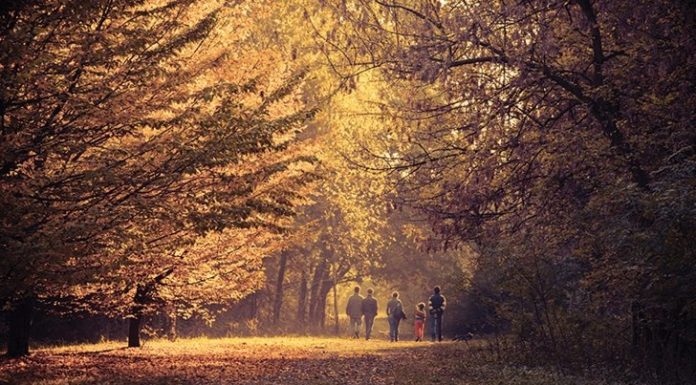 Family-Friendly Fall Activities