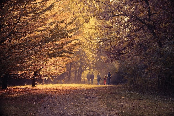 Family Friendly Fall Activities