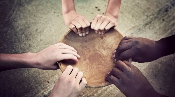 The Micronutrient Initiative