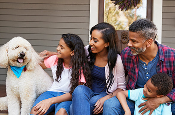 4 Things to Consider Before Adopting a Pet