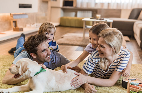 5 Tips for Bringing a New Pet Home