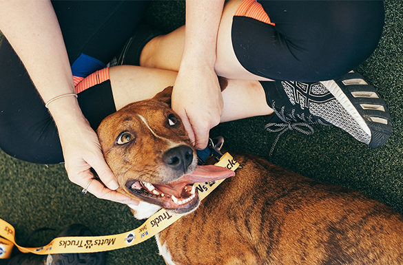 4 Ways Pets Improve Overall Well-Being