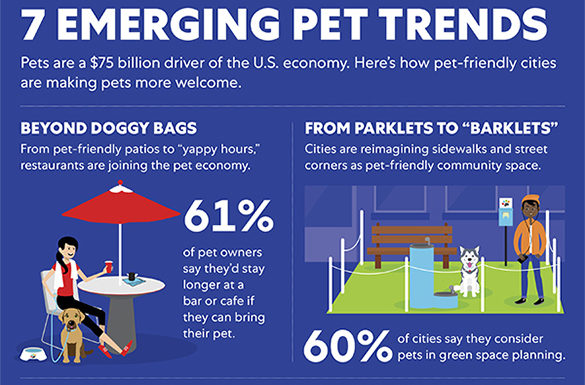Emerging Trends in Pet-Friendly Cities