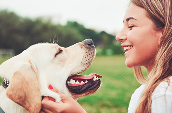 4 Tips for Welcoming a New Dog into Your Home