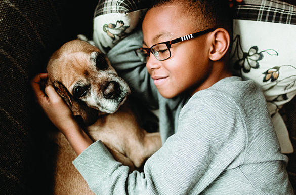 Welcome a 4-Legged Family Member with Care