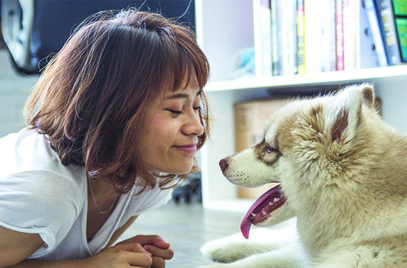 How to Find the Right Dog for Your Family