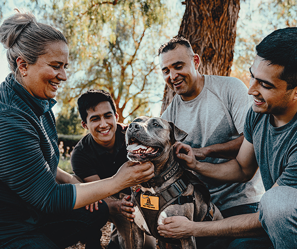 The Benefits of Service Dogs - 14933