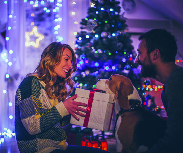 Paw-some Presents - 15034