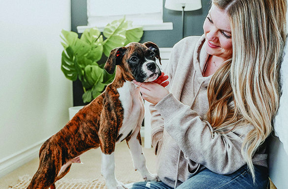 Make Nutrition a Priority for Your Pet