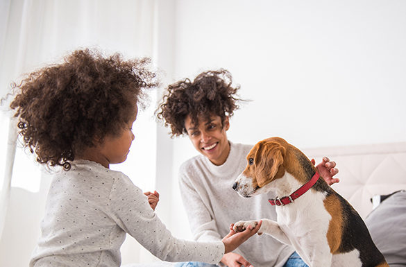 4 Ways Pets Help Impact Health and Wellness