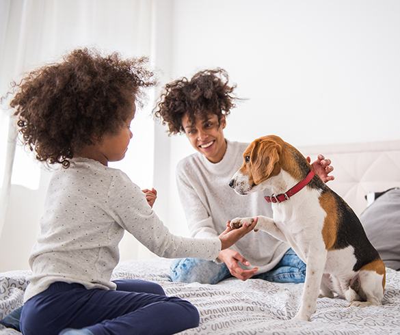 4 Ways Pets Help Impact Health and Wellness - 15388
