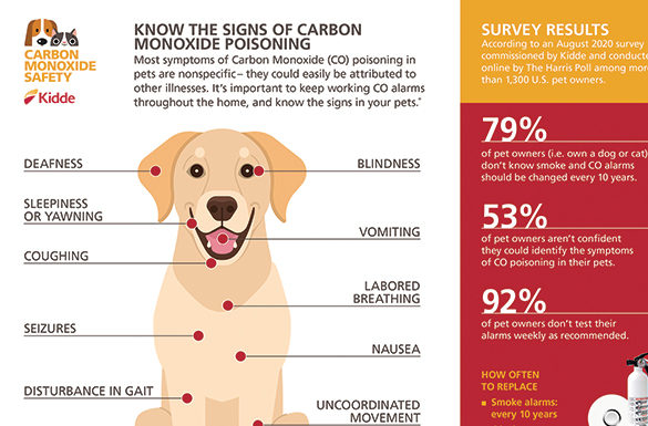 Understanding the Signs of Carbon Monoxide Poisoning in Pets