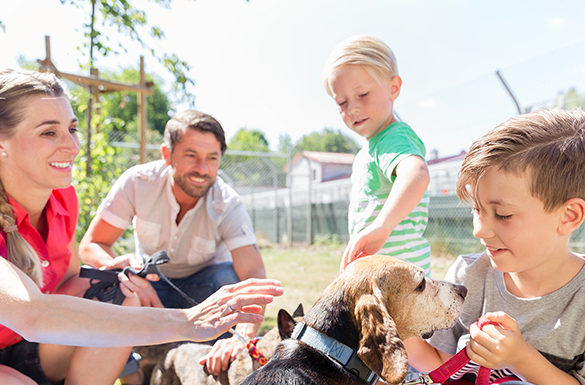 3 Ways Pet Adoption Can Be a Win for All