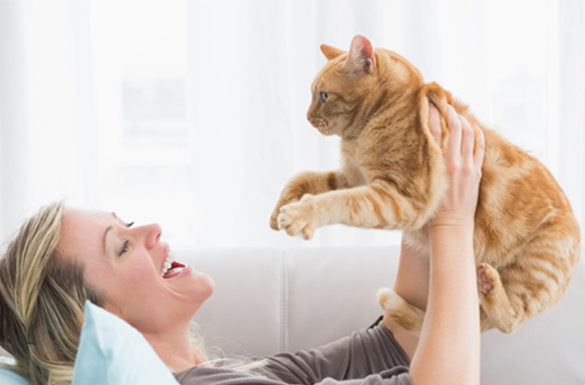 How to Train Your Cat