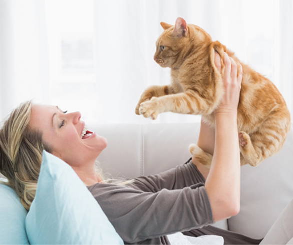 How to Train Your Cat - 14932