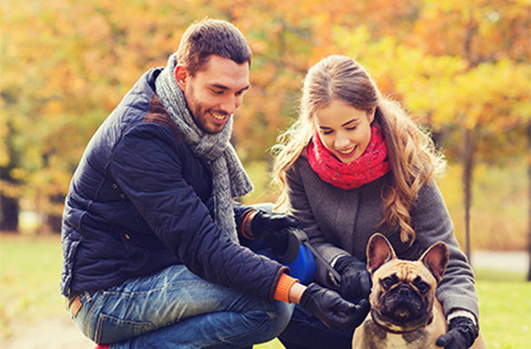 4 Ways to Treat and Trick Your Pet this Fall