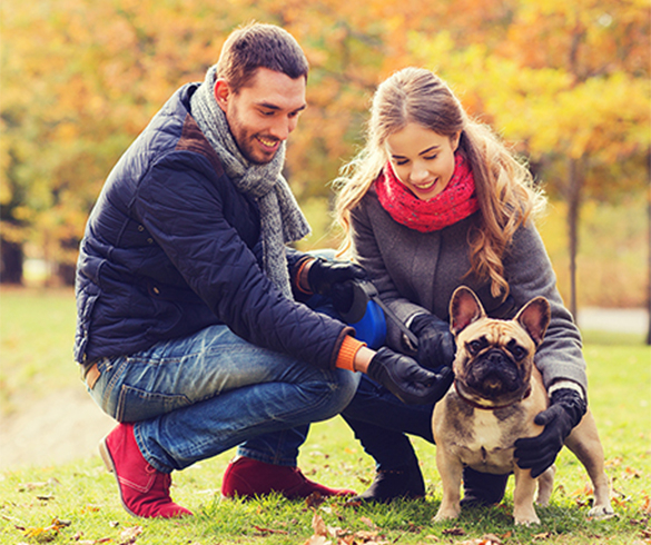 4 Ways to Treat and Trick Your Pet this Fall - 14936