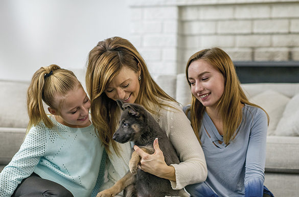 How to Welcome a New Puppy to the Family
