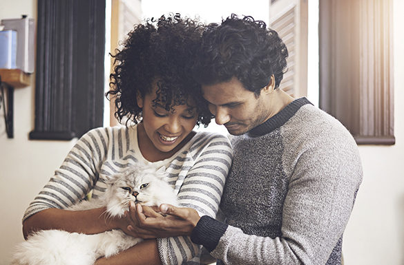 Get the Dish on Proper Nutrition for New Pets