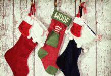 4 Ways to Celebrate the Holidays with Your Pets