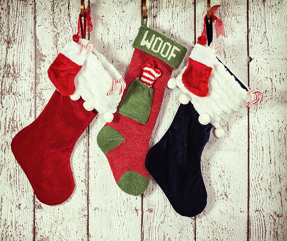 4 Ways to Celebrate the Holidays with Your Pets - 15494