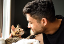 Expert Tips for Welcoming a Kitten