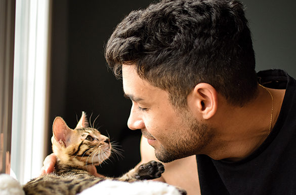 Expert Tips for Welcoming a Kitten