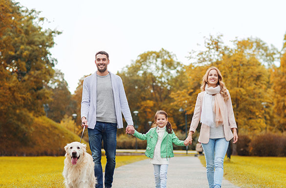 4 Tips to Keep Pets Out of Trouble During Back-to-School Season