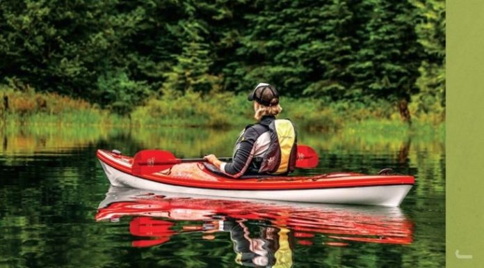 alive's June 2021 Challenge: Appreciate Nature Daily