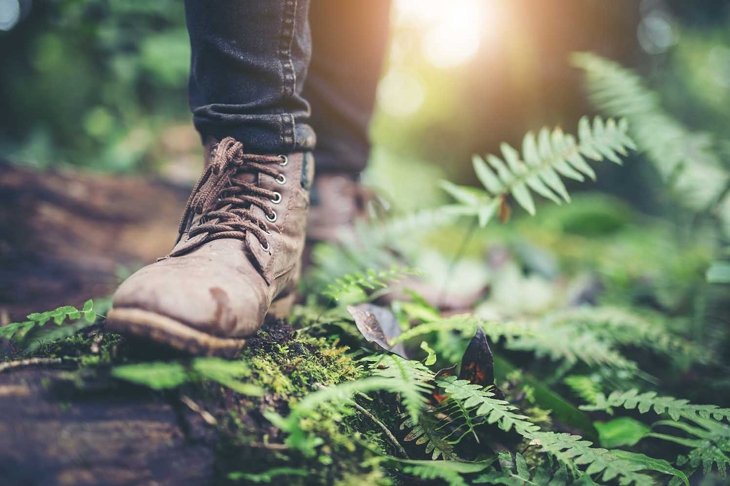Shoes Man walking on a forest path in autumn and Lifestyle hiking concept.Travel hiking.