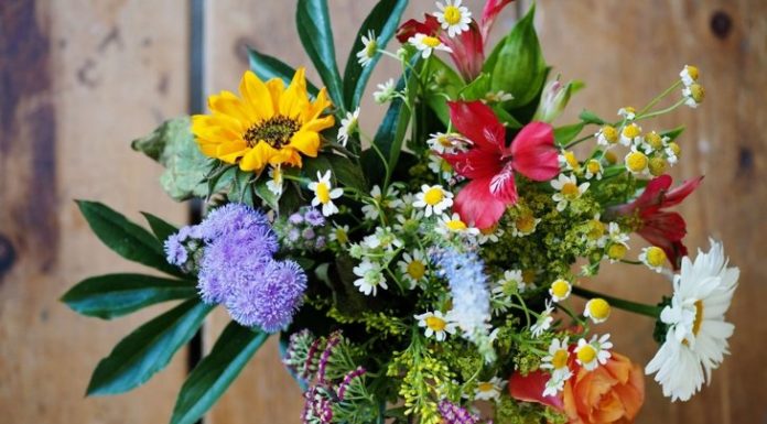 The Power of Colour to Heal