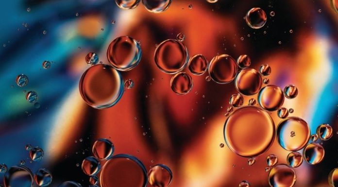 Hempseed Oil vs CBD Oil