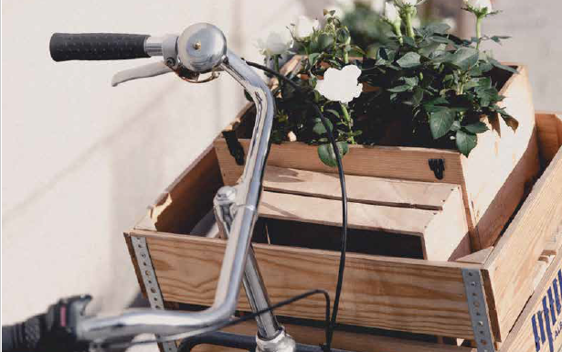 Recovery For People and The Planet