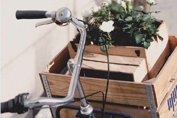 Recovery For People and The Planet