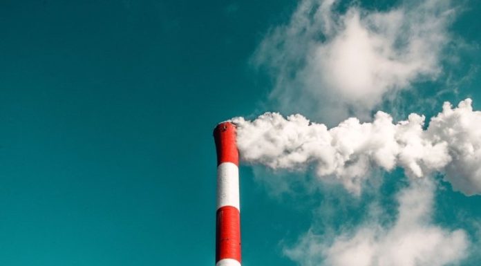 6 Common Environmental Toxins and How to Avoid Them: A Shortlist