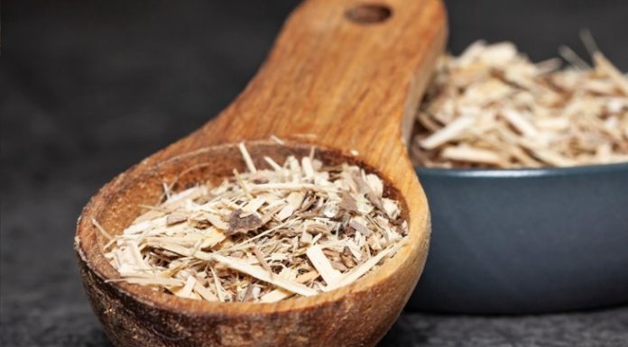 Unearthing Evidence-Based Integrative Remedies to Stress