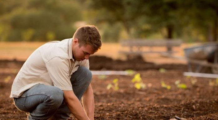 Gardening's Good for What Ails You