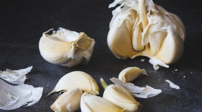 Bug-Busting Immune Boosters