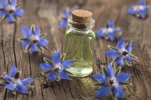 Borage Oil: The Inflammation-Fighting Superstar