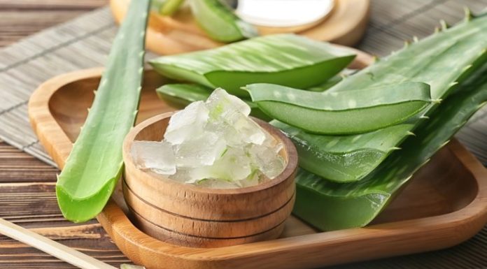 10 Amazing Health Benefits of Aloe Vera