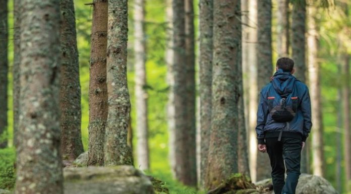 What Neuroplasticity Means for Aging