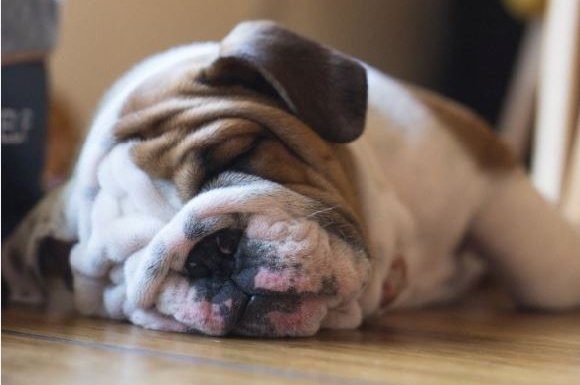 This is your brain on no sleep