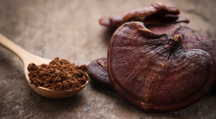 The Healing Power of Chaga and Reishi