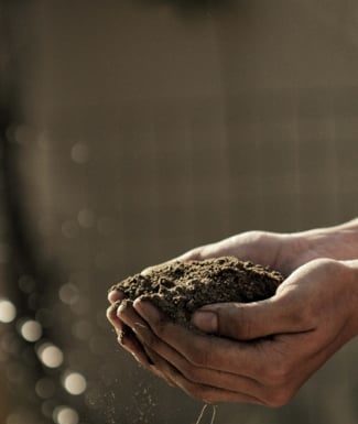 Farming to Feed the Planet