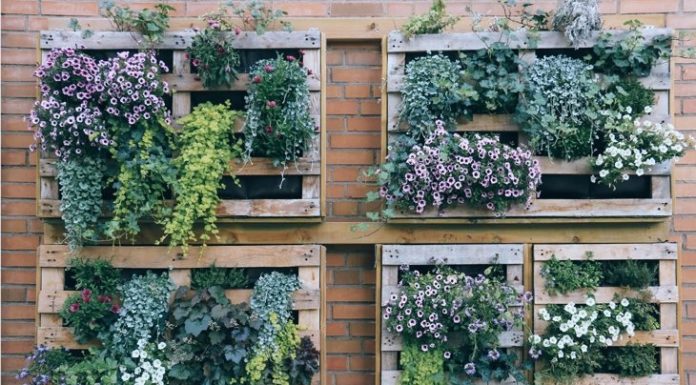 10 Reasons to Embrace Planted Walls