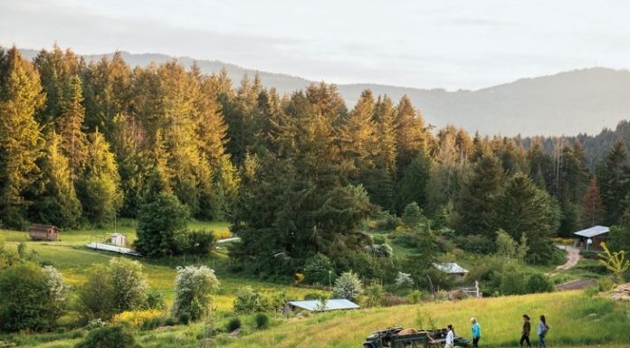 This Is What Modern Farming Can Look Like