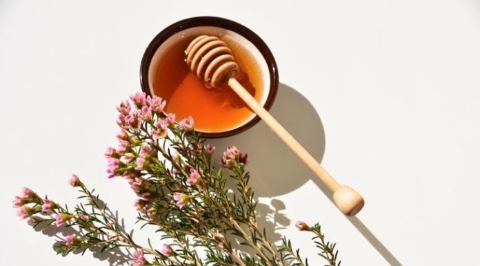 What You Need to Know About Manuka Honey's Immunity Benefits