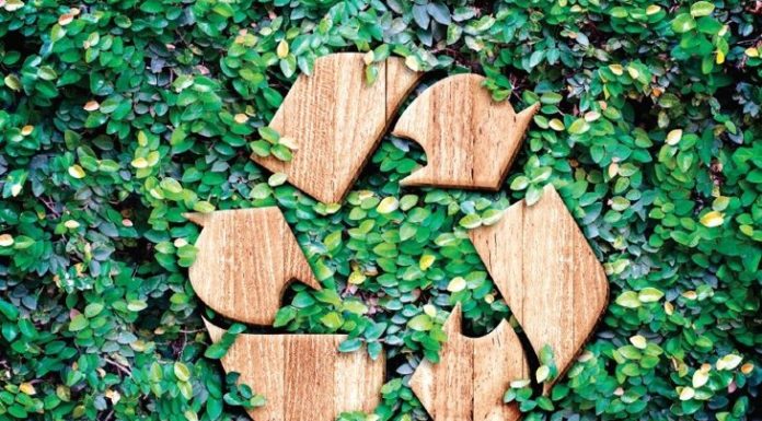 This Is How You Should Actually Be Recycling